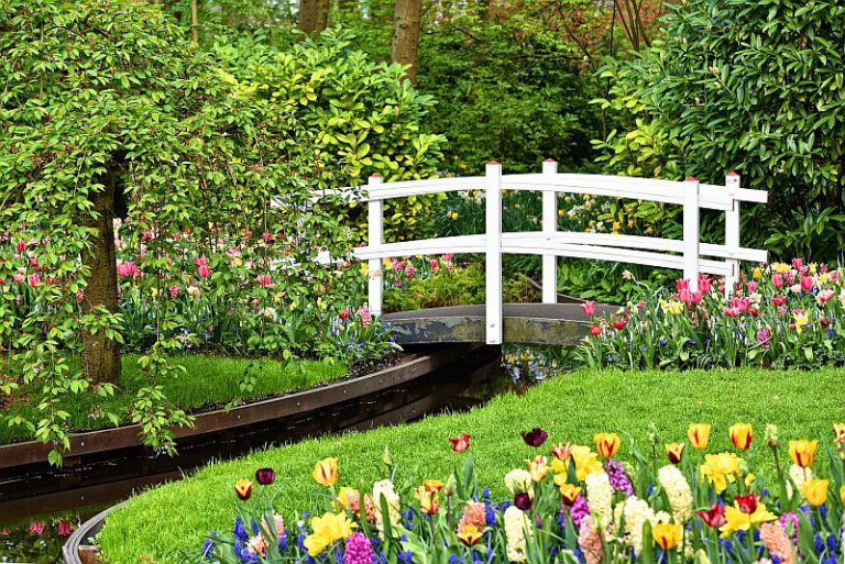 Voda a tulipány patří k symbolům Nizozemí.