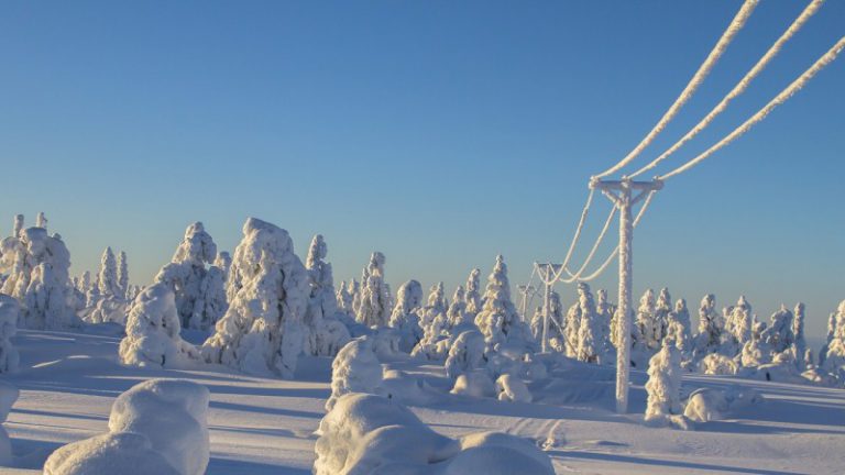 Finštinou se studenti prokousávají jako hlubokým sněhem.